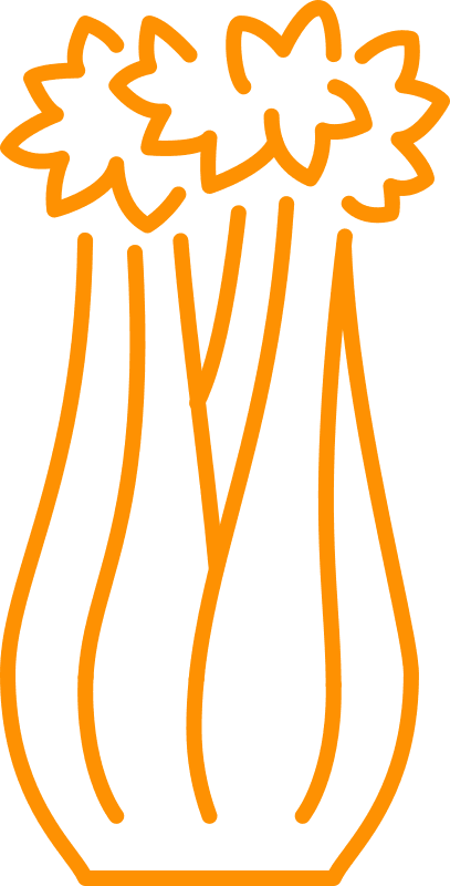 Céleri
