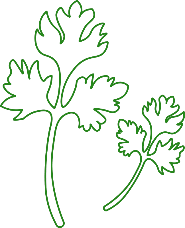Herbes Fraîches