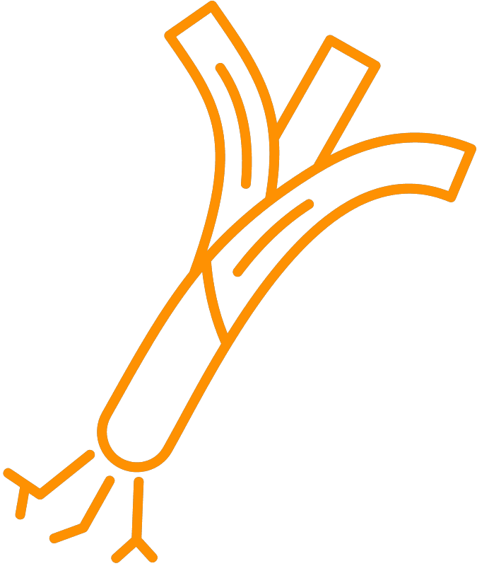 Poireaux